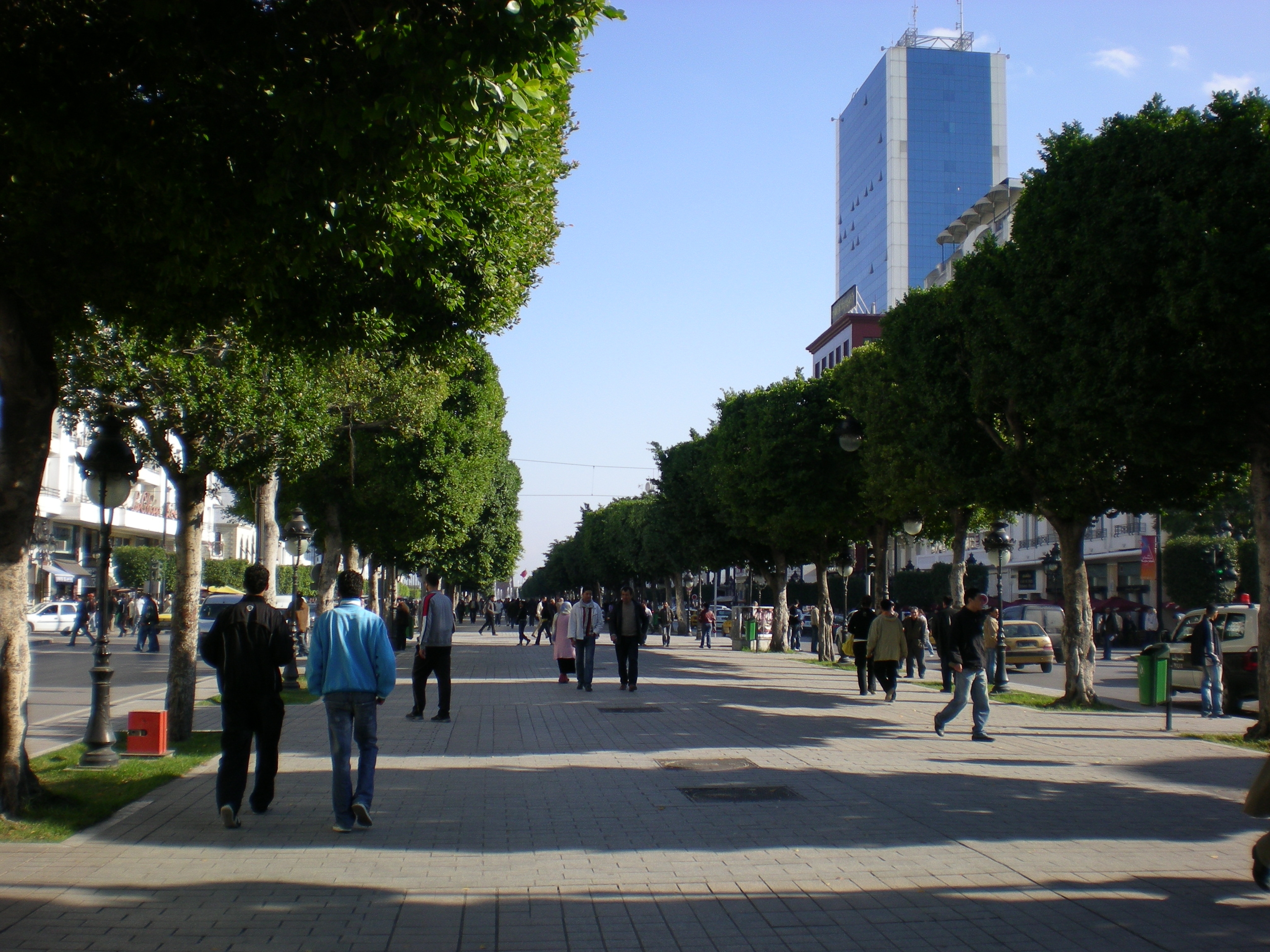 Tunis : Un homme s’est immolé par le feu à l’Avenue Habib Bourguiba