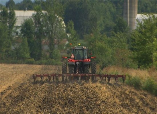 Hausse mondiale pour le deuxième mois consécutif des prix alimentaires