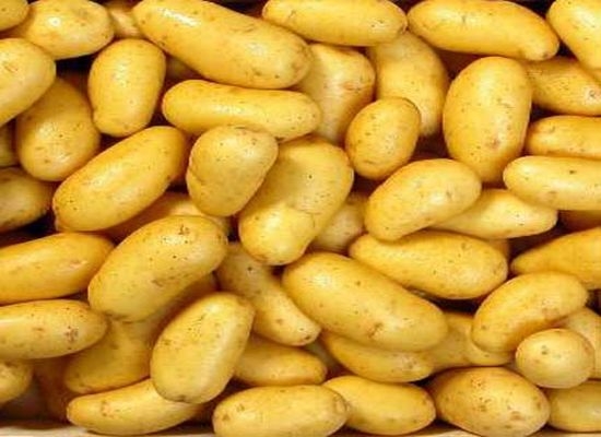 Le ministère du Commerce fixe les prix maximaux de la pomme de terre