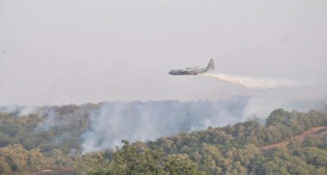 Incendie de Melloula : Les habitants évacués, l’armée mobilisée