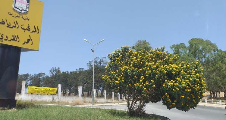 Le rond-point de tous les dangers !