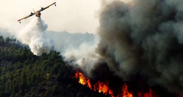 Melloula : Huit foyers d'incendie encore actifs