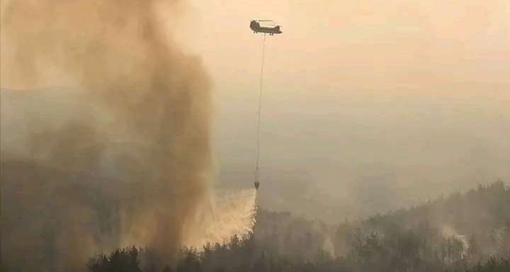 La forêt de Maaloula à Tabarka en proie à deux incendies