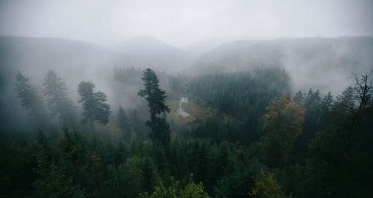 Tuniswald, mystérieux village dans la Forêt noire allemande