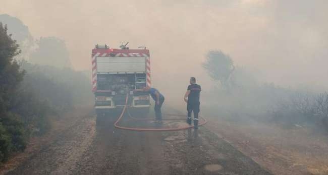 Une dizaine d’incendies se sont déclarés dans cinq gouvernorats