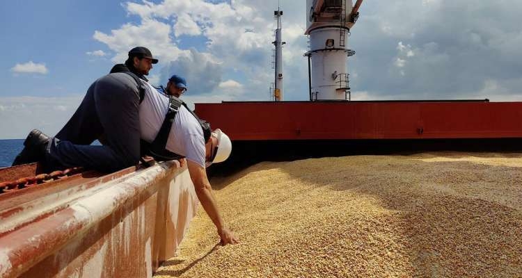 Les besoins de la Tunisie en blé comblés à hauteur de 35% par la France