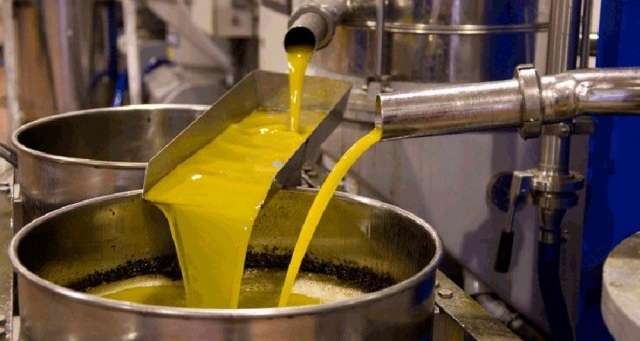 La valeur des exportations de l’huile d’olive devrait atteindre 4,5 milliards de dinars cette saison