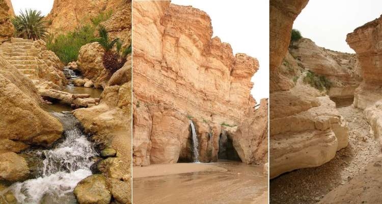 Dans les oasis de montagne du sud-ouest tunisien