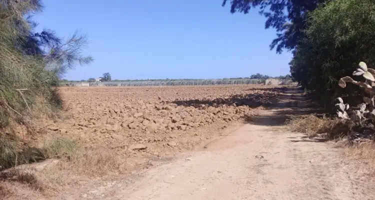 Tunisie : Récupération de trois terrains domaniaux agricoles à Mahdia et Tozeur