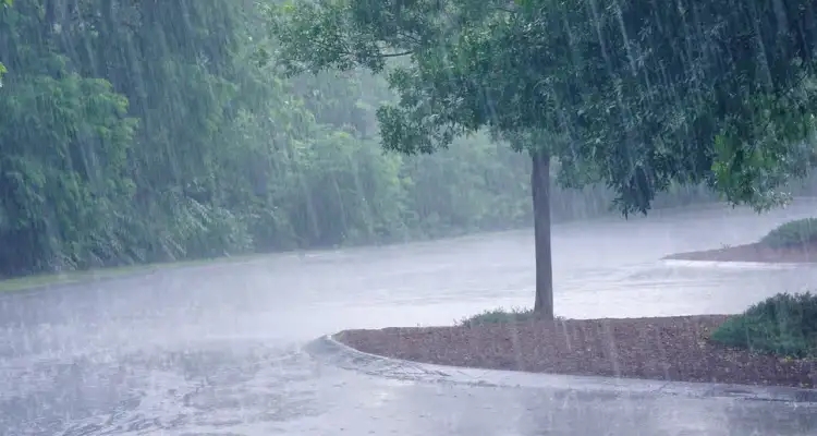 Tunisie : Pluie annoncée pour aujourd’hui