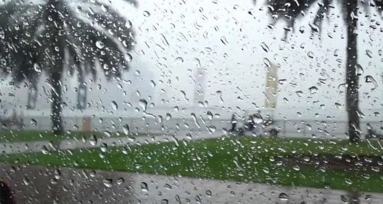 Tunisie : La pluie de retour