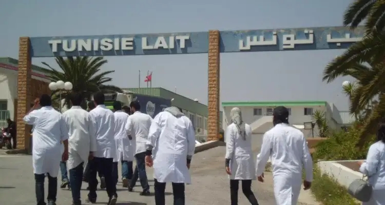 Tunisie : Vers le redémarrage de l’usine de lait de Sidi Bou Ali