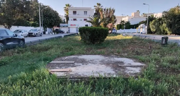 Tunisie - Snapshot : Les herbes folles de la place Mendès-France