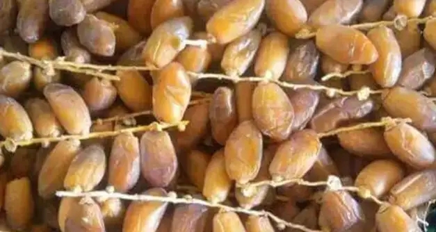 Tunisie : Les recettes des exportations de dattes en recul de 4,3%