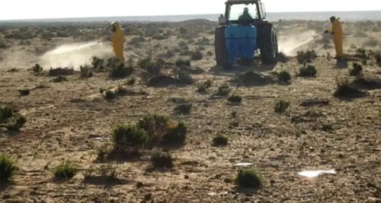 Tunisie - Criquet pèlerin : Plus de 2000 hectares traités à Tataouine