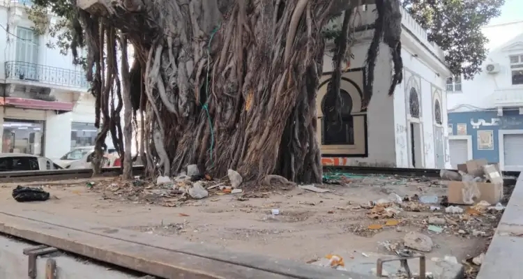 Tunis : Des arbres centenaires et la crasse tout autour