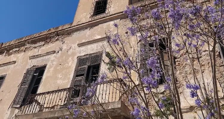 À la Goulette, dans les rues de la Petite Sicile