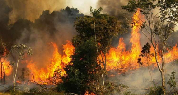 La canicule met le feu presque partout…