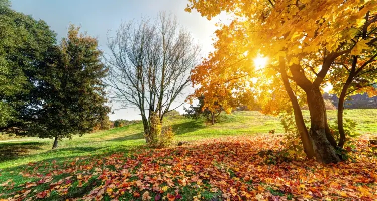 Ce dimanche 22 septembre, premier jour d'automne