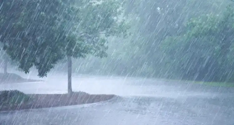 Tunisie - Météo : Pluie et  Baisse des températures pour ce dimanche