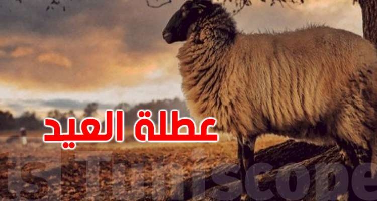 عيد الاضحى: رئاسة الحكومة تُقر عطلة بيومين