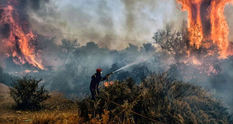 إدارة الغابات: حريقا ملولة وجبل المرقب هما الأكبر خلال هذه الصائفة وأتلفا 2400 هكتار من الغابات