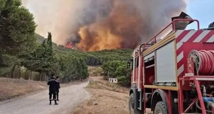 حريقان بكل من بنزرت وجندوبة