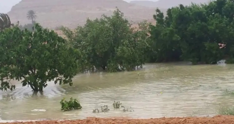 وزارة الفلاحة تصدر بلاغا تحذيرياً