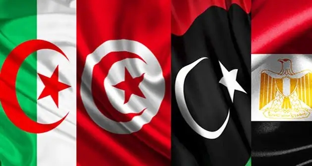 مصر: اجتماع لدول جوار ليبيا بمشاركة تونسية