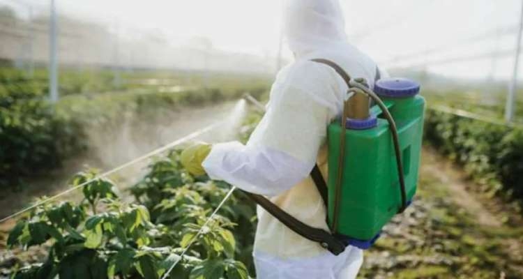 Tunisie : Des pesticides extrêmement dangereux officiellement retirés