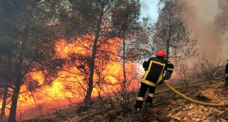 Béja : Un lourd bilan dans les incendies de Nefza