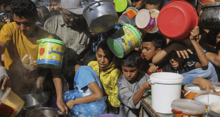 La moitié de la population de Gaza souffre de faim extrême ou sévère