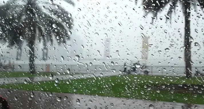 La Tunisie entame la nouvelle année sous une pluie bienfaisante