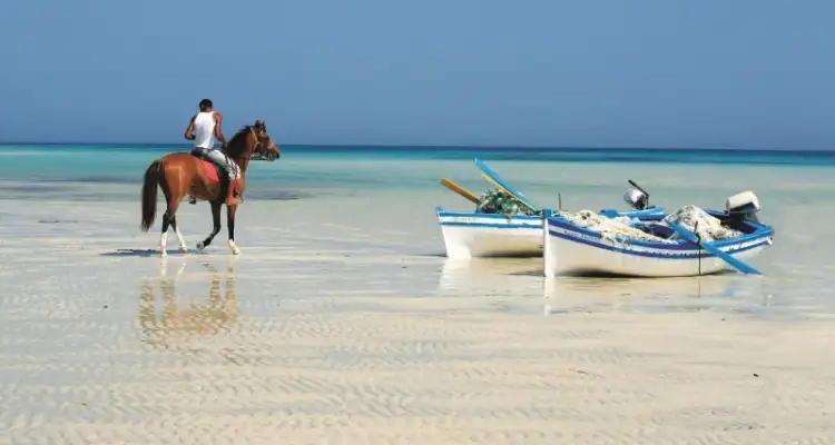 Tourisme : La Tunisie part à la conquête de ces nouveaux marchés