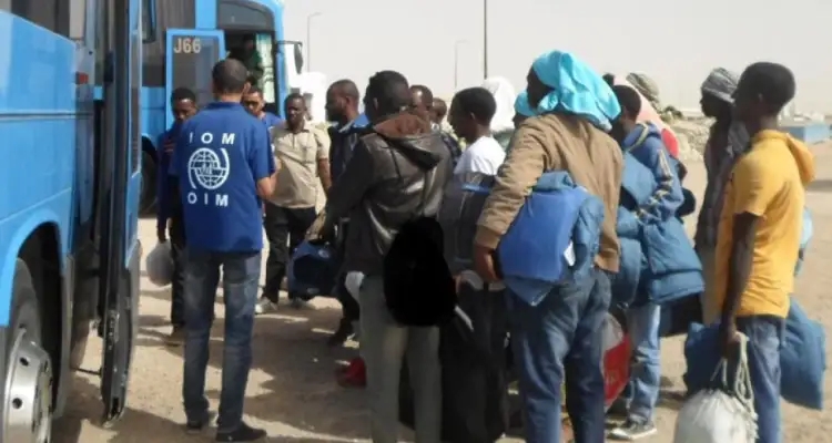 Retour volontaire : 80 migrants quittent la Tunisie vers leurs pays d’origine