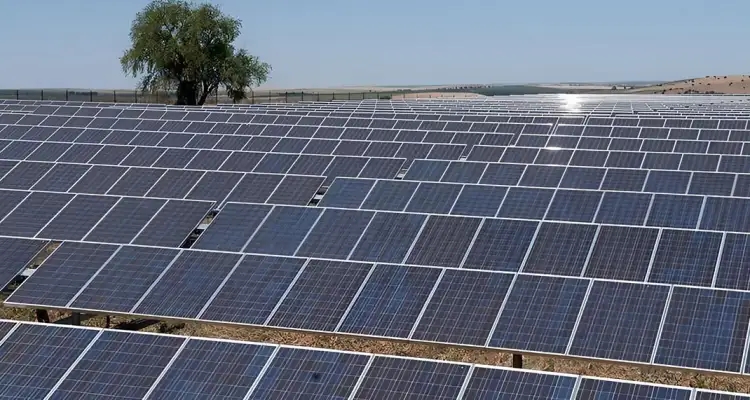 Un projet solaire géant à Sidi Bouzid grâce à une subvention japonaise