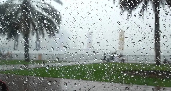 Tunisie – Météo : Pluies intenses prévues sur ces régions