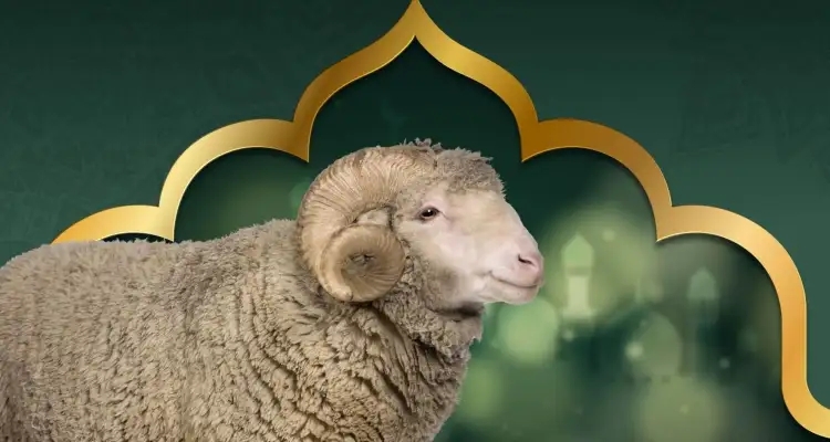 Tunis : Interdiction stricte du sacrifice des moutons dans les appartements