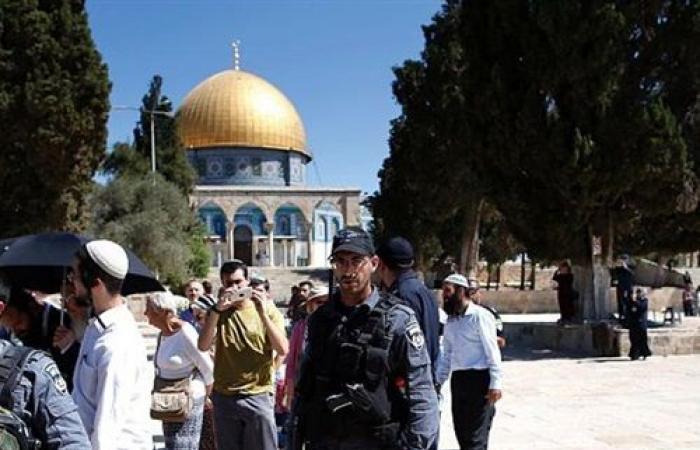 من بينها اسبانيا والنرويج.. دول أوروبية تعتزم الاعتراف رسميا بفلسطين