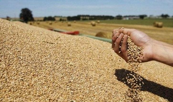 سوق باجة: كيلو العلوش بـ40 دينار و الجلبانة بـ6 دينارات (صور +فيديو)