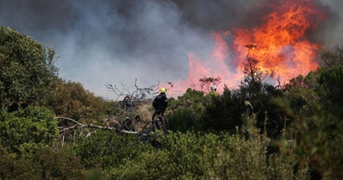 حريقا غابة ملولة بطبرقة وجبل المرقب بالكريب الأكبر في تونس خلال هذه الصائفة