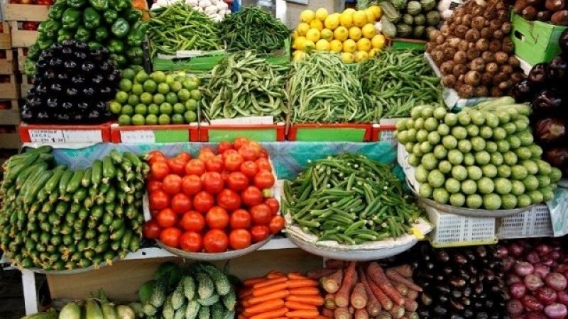 اتحاد الفلاحة يوضّح بخصوص ‘ري خضر موردة من مصر بمياه الصرف الصحي’