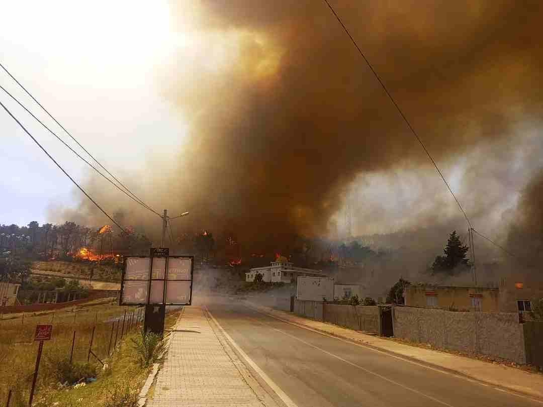 جندوبة : إندلاع حريق جديد بغابة ملولة طبرقة (صور)