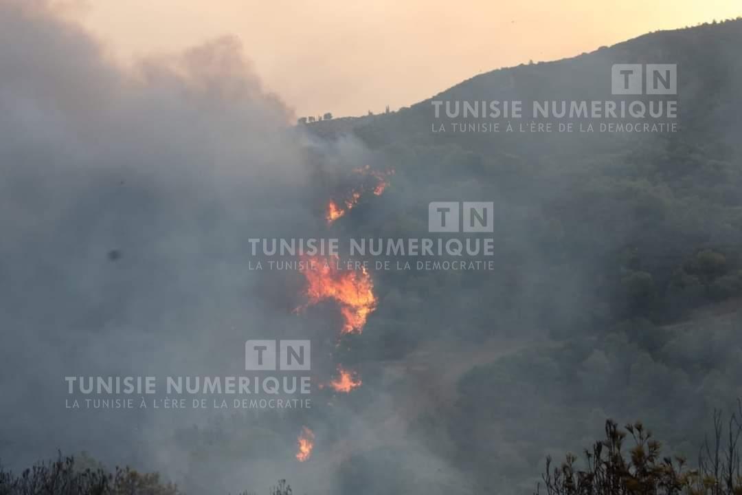 والي جندوبة ينفي التمديد في إقامة عدد من السياح جرّاء إغلاق الطريق المؤدية إلى المطار ومعبر ملولة الحدودي