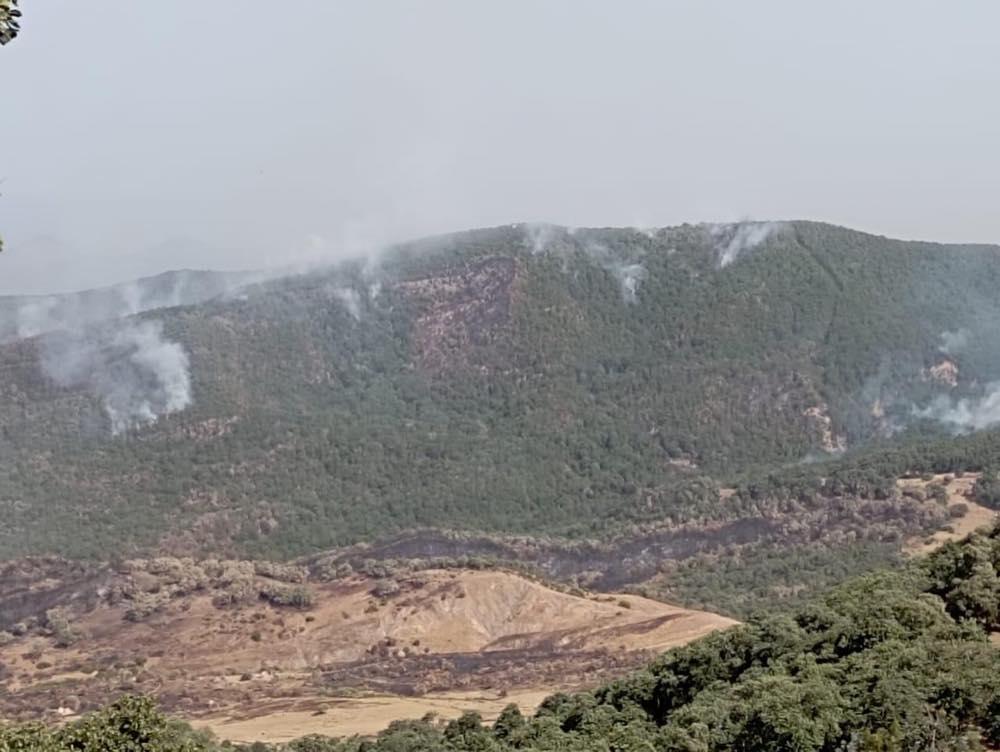 جندوبة: مواصلة محاصرة النيران بجبال منطقة العاطفة