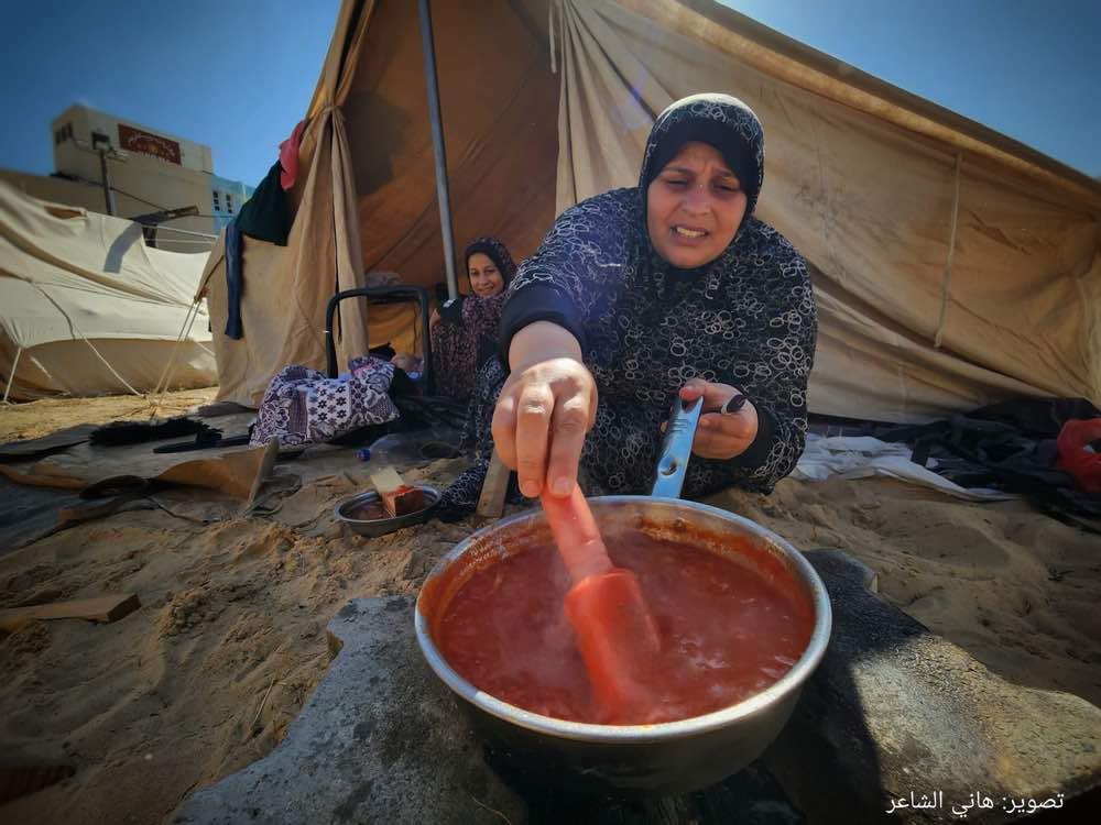 نكبة جديدة.. تركيز أول مخيم للفلسطينيين في غزّ.ة (صور)