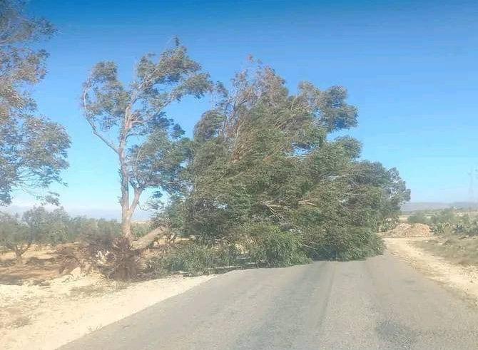 القيروان: انقطاع التيار الكهربائي وغلق الطرقات جراء الرياح القوية في الوسلاتية