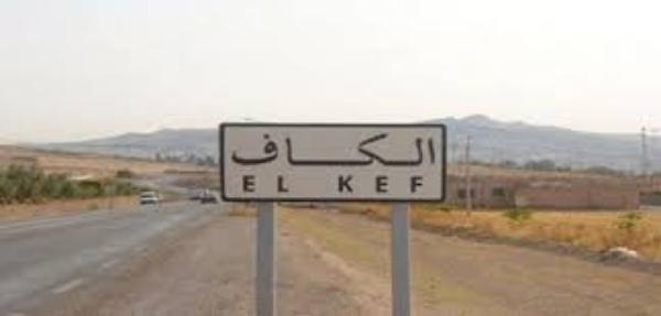 الكاف: الإعلان عن تأسيس شركة أهلية للخدمات الترفيهية..