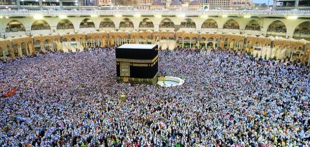 وزارة الشؤون الدينية تحذّر من التنظيمات الموازية للحج