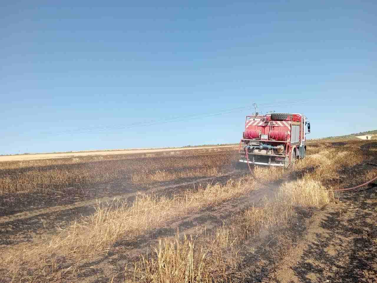 إدارة الغابات توضّح بخصوص منع التخييم في بعض المناطق [فيديو]